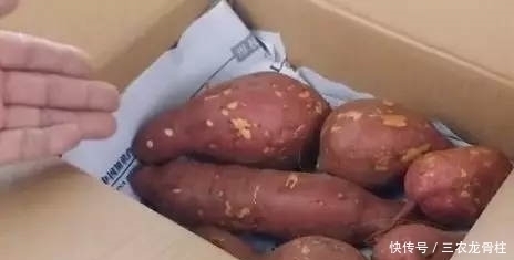 保存红薯一年不烂,农村老人教我诀窍,第一步才是关键,越放越甜