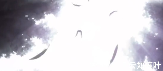 考官|全职猎人真假真真假假！一切要靠自己！