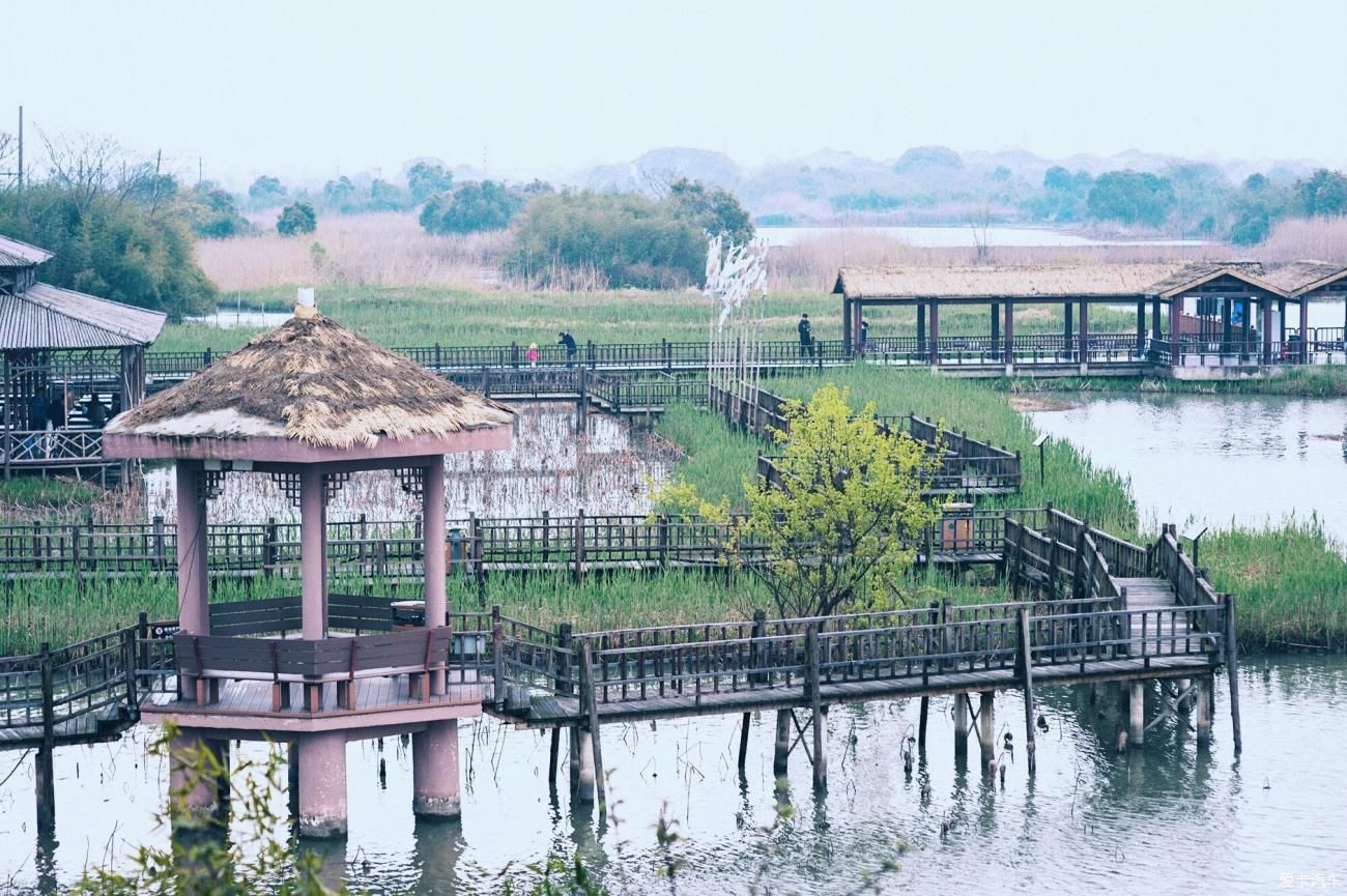 浙江德清下渚湖国家湿地公园环境很美，花美，人美，都很美