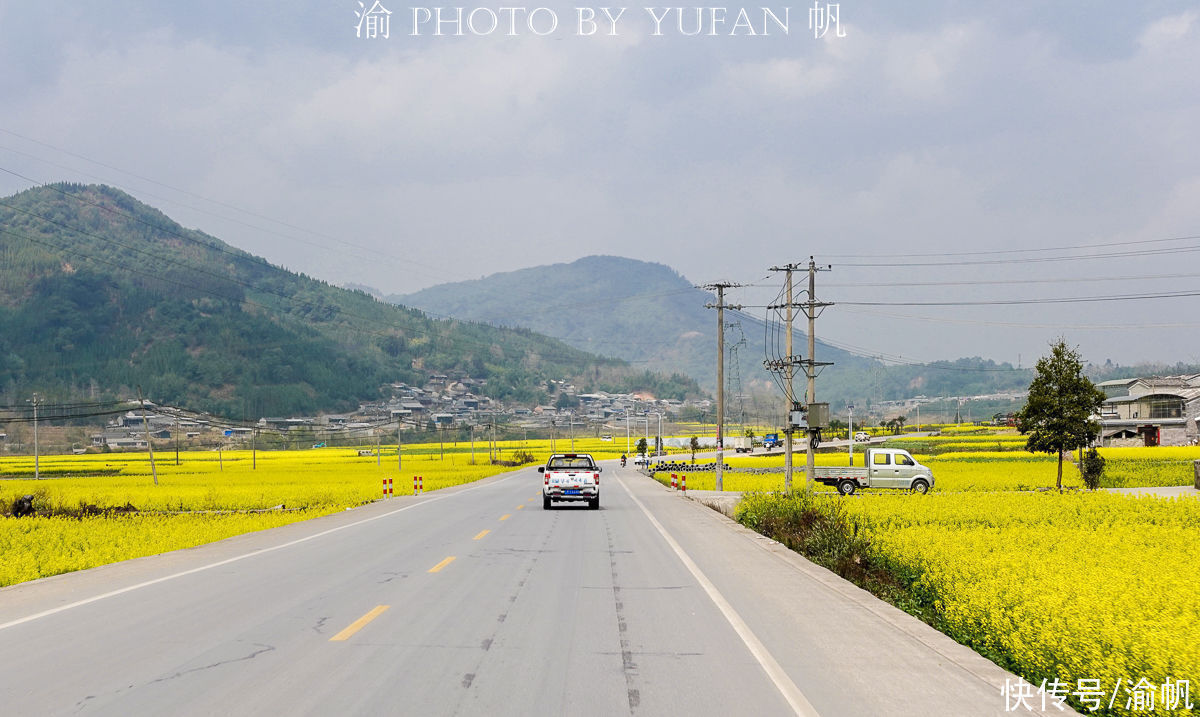 高黎贡山|中缅边境有片15万亩的花海，不逊罗平婺源，无需门票却鲜为人知