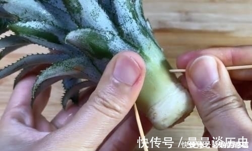 吃剩下的“菠萝头”不要扔,插3根牙签,放在家里太棒了,快学学