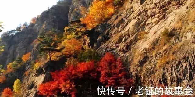 李煜#李煜的相思词,全词无一思字,却句句饱含相思之情