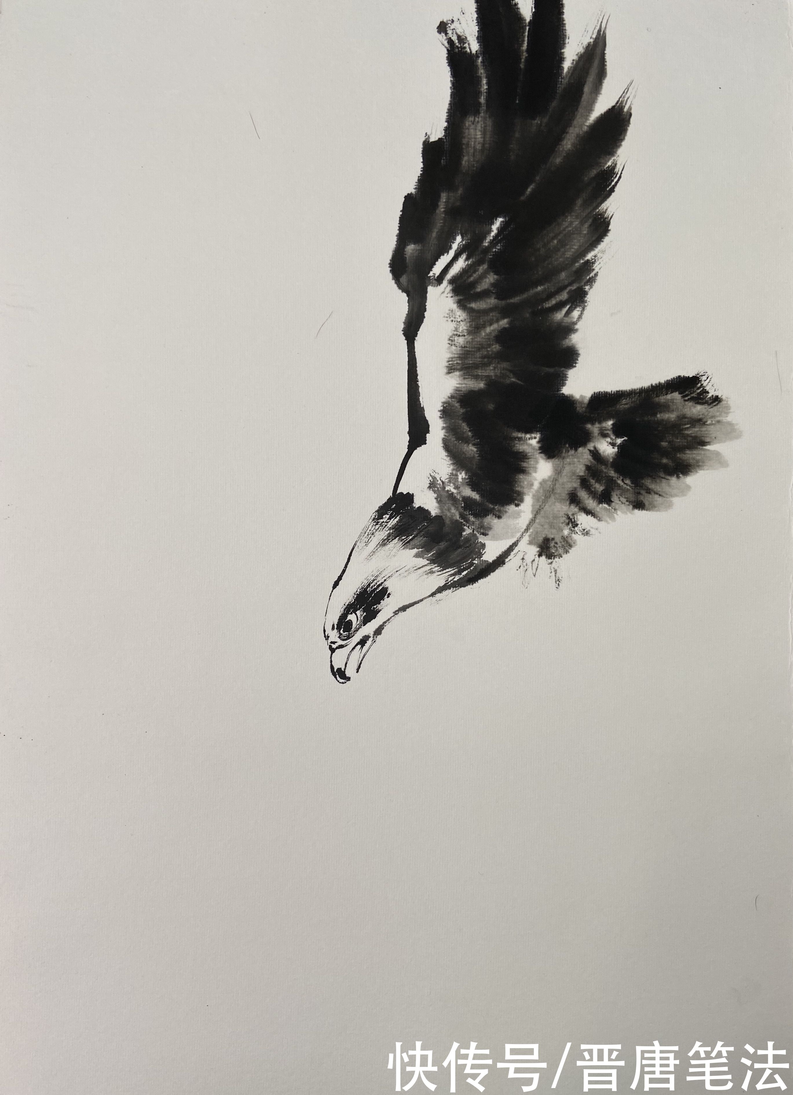  写意|小写意《鹰击长空》的画法和详细步骤图，喜欢国画的朋友收藏了