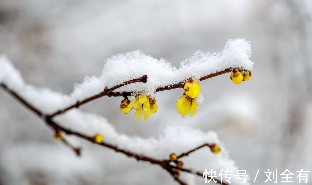 第一章@《道德经》第六章:从“众妙之门”到“玄牝之门”,还没听懂?