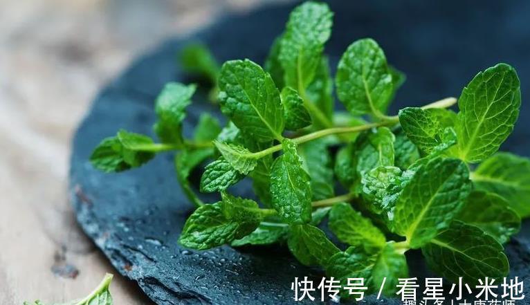 良方|一把薄荷,巧治大病!民间11个入药良方,11种病症皆可治!