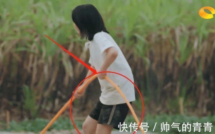 明星综艺干活被质疑,当镜头扫过张子枫裤腿后,网友:一目了然