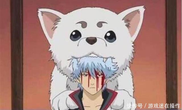 打破|一只猫打破了次元壁,这才是玩手办的新高度