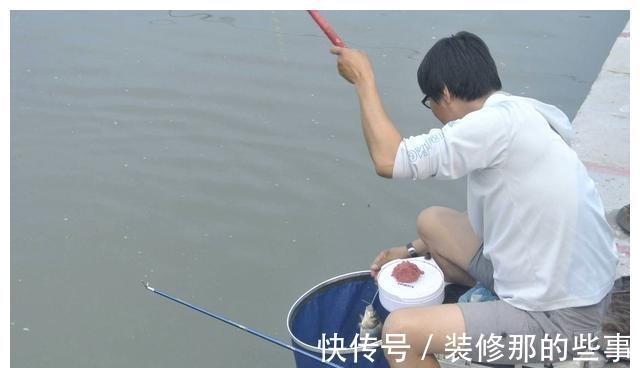 渔获量|入秋的鲫鱼都躲在哪里？在恰当的时间段野钓，渔获量翻一倍