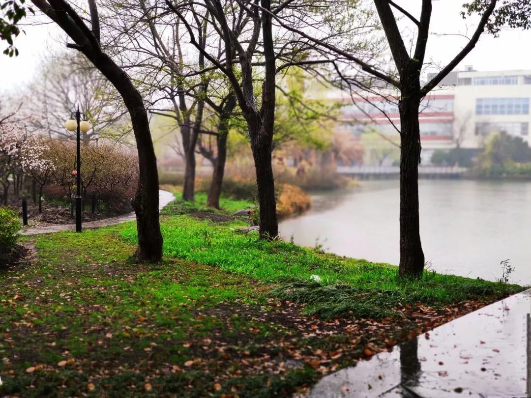 我“雨”最美校园，一起云赏沪上46所高校雨中即景