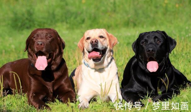 人生肖|2021年生肖蛇的最佳合作伙伴有谁生肖鸡上榜,看看有你吗