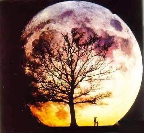 太陽風暴引發電火花改變月球地貌：不亞于流星體撞擊