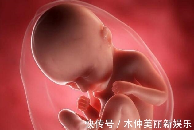营养均衡|十月怀胎,胎儿啥时候开始“长肉”?早知道早准备,别拖胎儿后腿