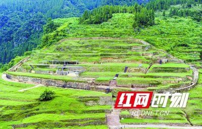  文史|湘西文史 湘西土司彭翼南怒沉秦淮名妓王翠翘