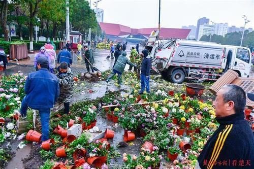  菊展|菊展闭展，爱花市民到现场淘宝：选花、收花土、取花盆