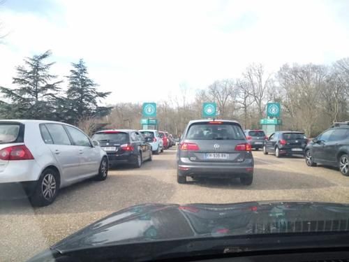 疫情|疫情期间的周末娱乐,留学菌带你逛逛野生动物园