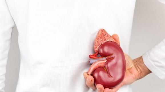 “醋泡黑豆”可以养肾,豆子用生的还是熟的好?大多数人泡错了