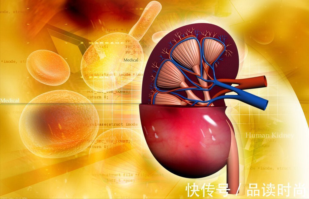 糖尿病肾病|3个中成药,多靶点改善糖尿病微血管病变,减少尿蛋白保护肾功能