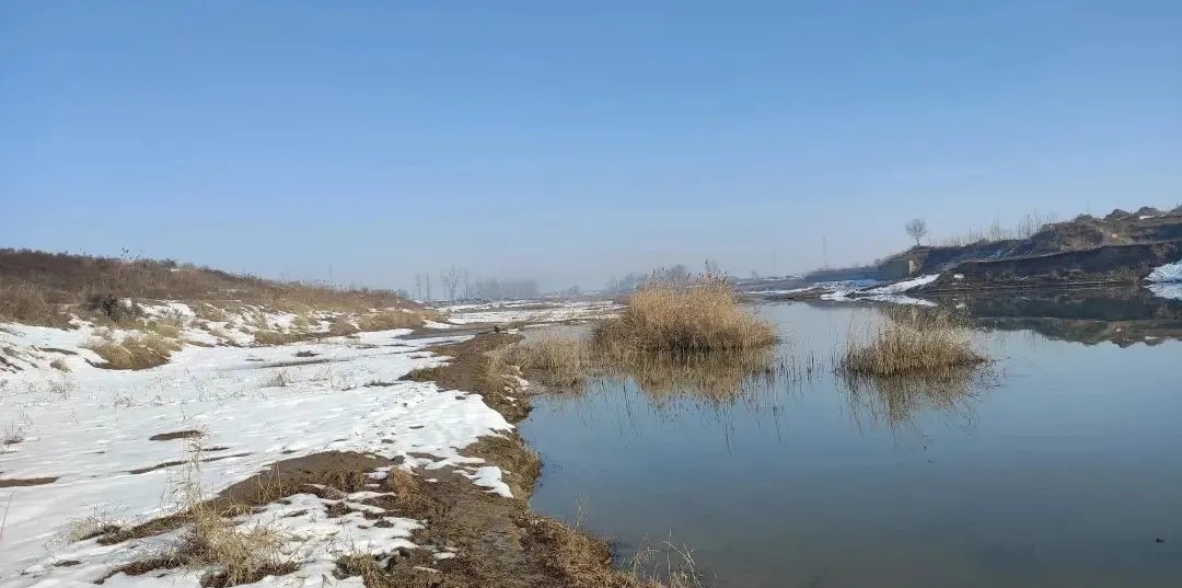 冬季野钓,傻坐一天无鱼咬钩?给你四条建议,其实大板鲫很好钓