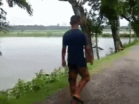 |搞笑GIF段子:头发就是这么梳没的,你确定还要梳下去?