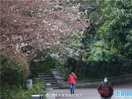 中年|花团锦簇 贵阳黔灵山公园踏青赏花正当时