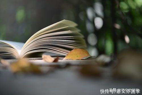 什么样的记叙文是好记叙文？七个维度给你的作文定性