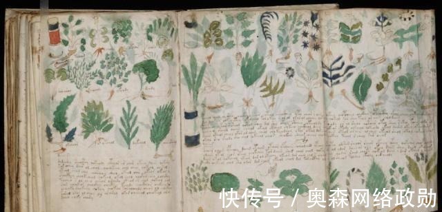 图源@这本“天书”600年来无人能解,如今终于看见了希望