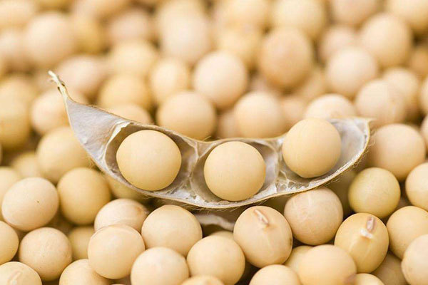 食物|长寿是“吃”出来的50岁以后是长寿的“关键期”,把寿命养起来