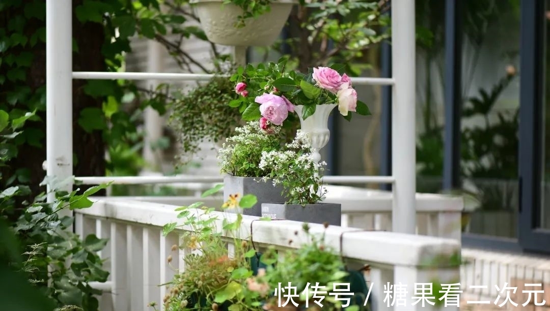 王俐|服装设计师兼花园设计师,裁剪最美的花园时光