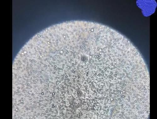 母乳喂养|母乳到底有多“神奇”?一个实验为你揭晓答案,你可别小瞧了它