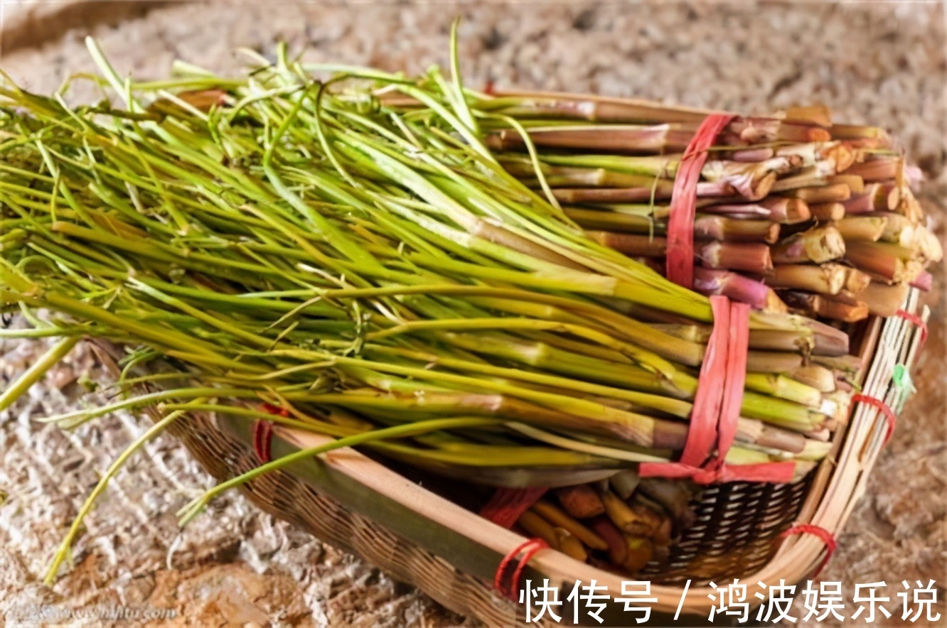 食物|会吃的人最健康,3种食物离不开,排毒清肠,延缓衰老,早吃早好