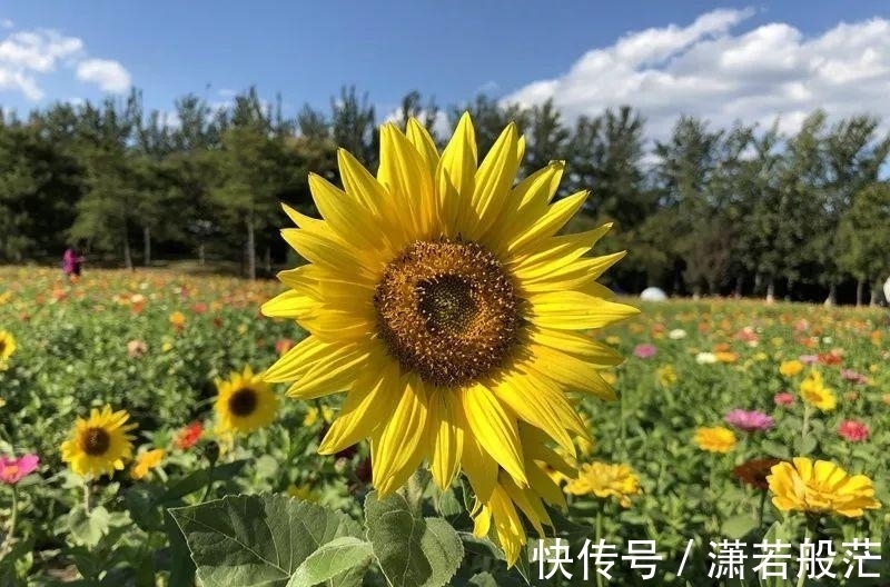 等著我|李嘉誠的“年夜飯”曝光!一頓飯,看出一個家庭的教養(yǎng)丨可讀