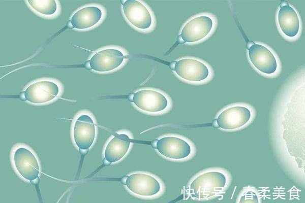 女性身体|进入女性身体后,那些没能和卵子碰头的“小蝌蚪”,去了哪里