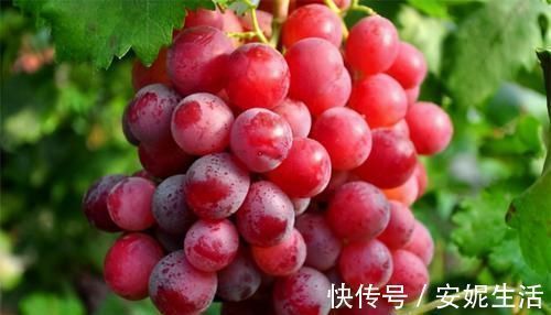 保健|人到中年,多吃养生的食物,营养保健,促进健康,延缓衰老