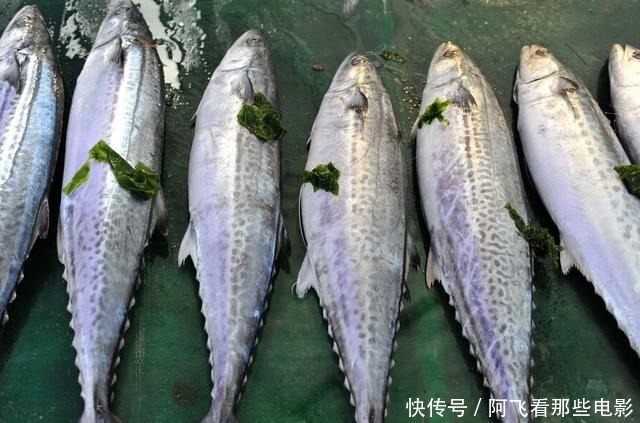 开海后,买鱼专挑这4种,好吃还实惠,连卖鱼的都夸你是行家