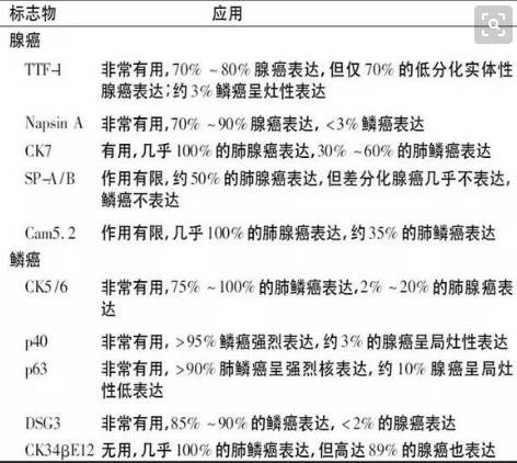 如何看懂肺癌病理报告单 免疫组化 肿瘤标志物指标 快资讯