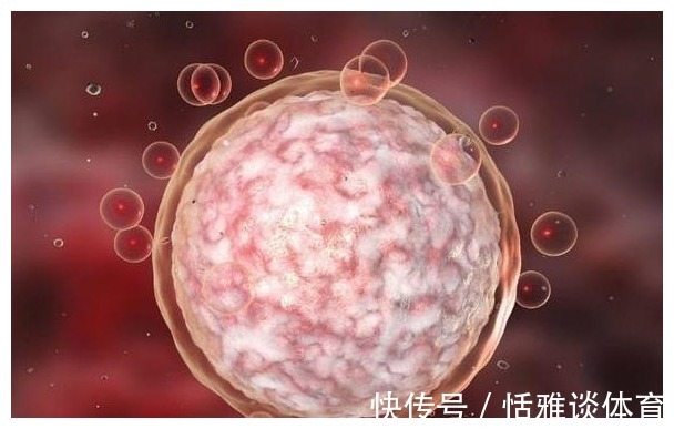 染色体|为何现在女婴的出生率升高？产科大夫说出了答案，备孕夫妻要了解