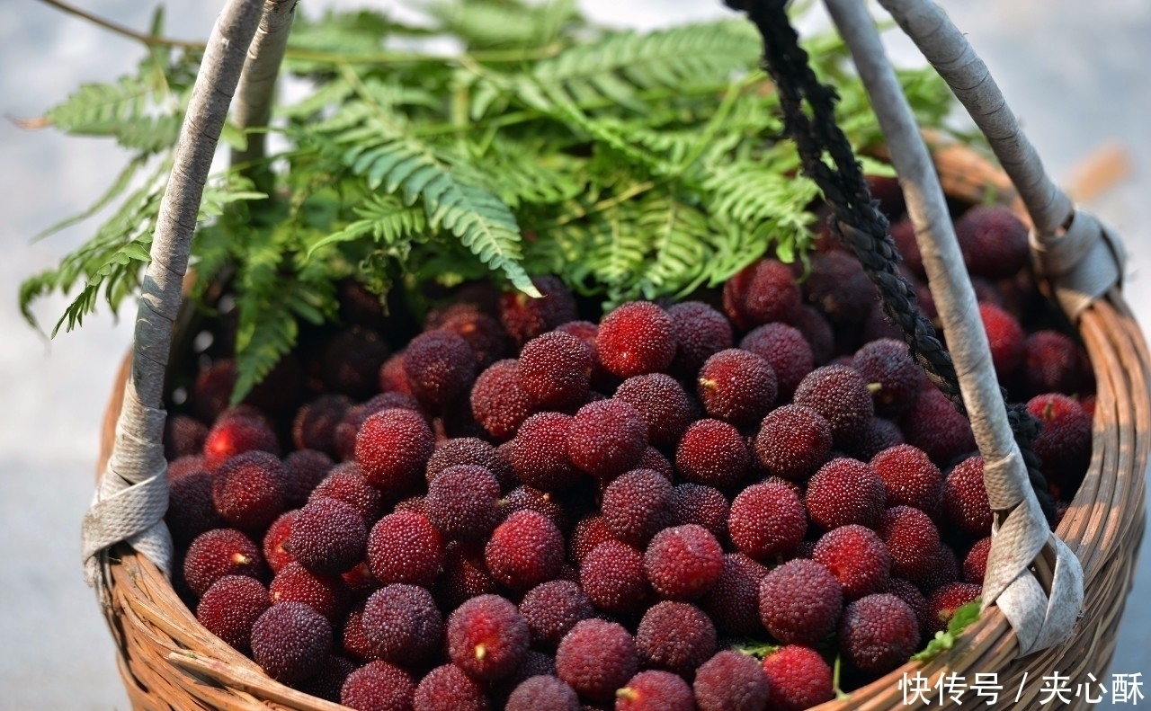 杨梅|常吃杨梅的人,身体不会差,但切忌与一物同食,却有多人不清楚