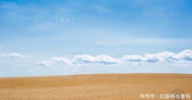 真正有魅力的女人,能征服男人,也能征服女人