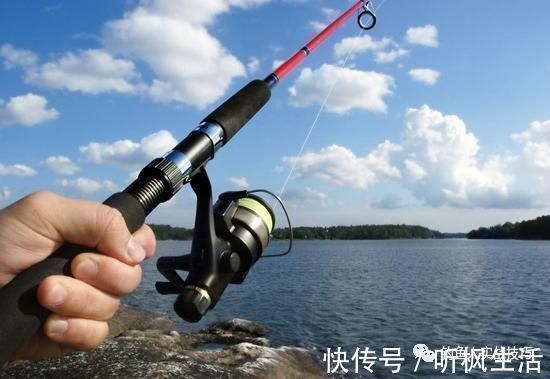 钓鱼老是空军，掌握这几个细节，新手也能爆护