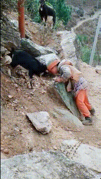 |搞笑GIF趣图女朋友生气了，我要好好哄一下她！