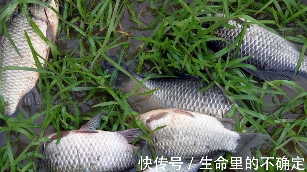 没有经验,不会线组搭配,没关系,这样配线组,大鱼小鱼都合适