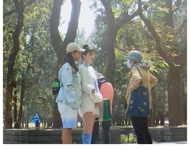 生态公园|陈小纭去相亲角，因学历低进不了相亲群，她反应太真实了