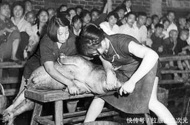 老照片|50年代的中国老照片：小学生捡稻根灭螟虫，女人杀猪干净利落！