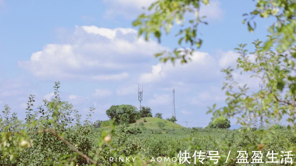 青森|日本青森夏日祭--神秘而热闹的睡魔祭