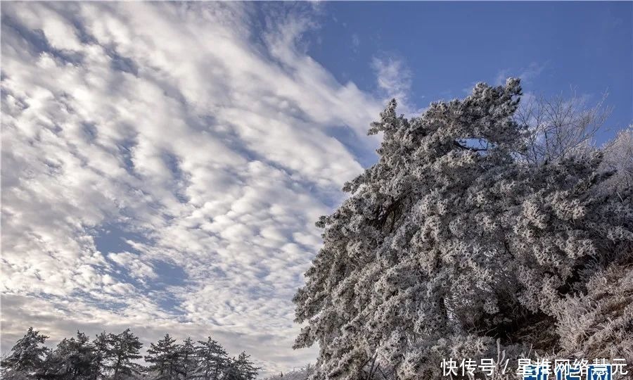 今冬|新华网报道！霍山今冬第一场雪