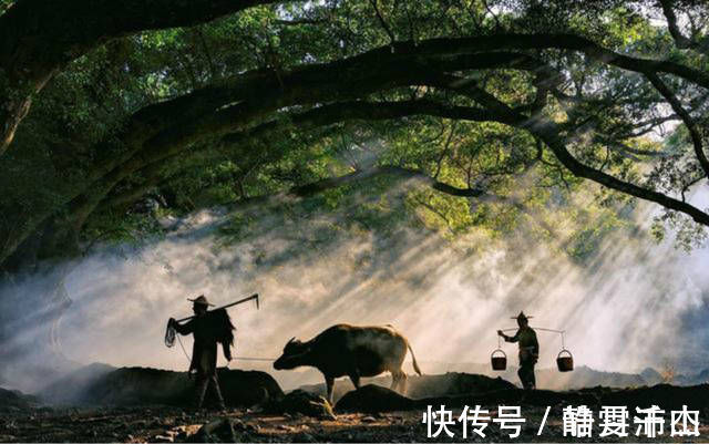 百思$屠夫问秀才两问题让他百思不得解,中状元后送屠夫10字,家喻户晓