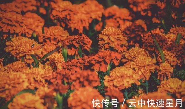 重拾|红线不断，痴情难退，重拾旧爱，无怨无悔，一如既往