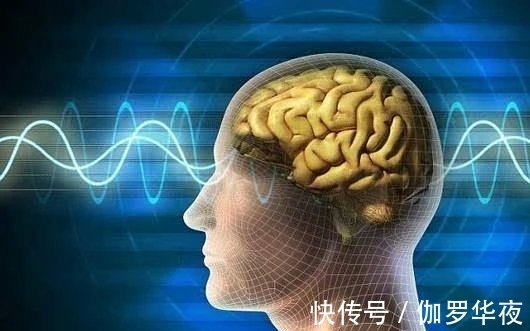 冷知识|30个冷知识:或许只有少数人知晓,无用但有趣的奇怪知识