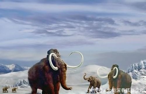 全球变暖 几万年前年前的冰期,为什么会突然结束,是什么原因导致的?