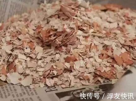 茉莉花最爱3种“肥料”,家中就有,浇一点,花大芳香、开爆盆!